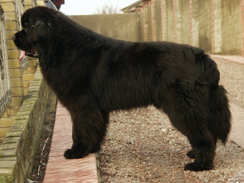 Фотография № 148012