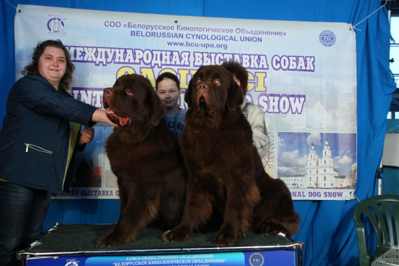 Фото: Ekaterina Avdeeva (Екатерина Авдеева), ньюфаундленд Charmer Denkam Bronze (Чармер Денкам Бронз), Маша, ньюфаундленд Charli The Best Helfi Pel (Чарли Де Бест Хелфи Пэл)