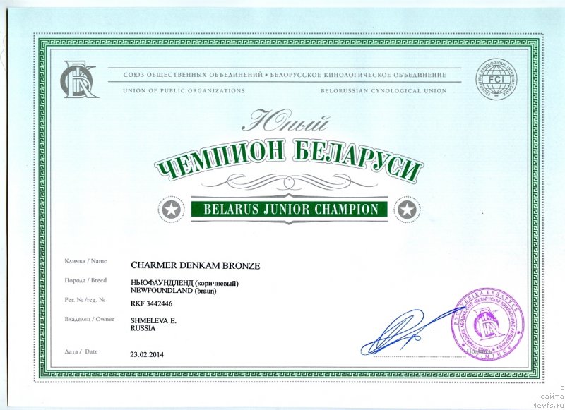 Фото: ньюфаундленд Charmer Denkam Bronze (Чармер Денкам Бронз)