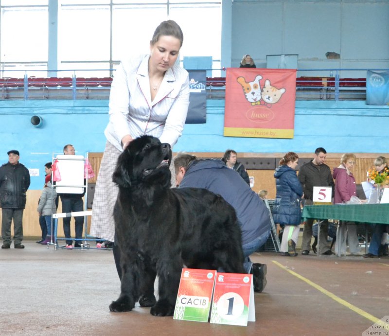 Фотография № 148030