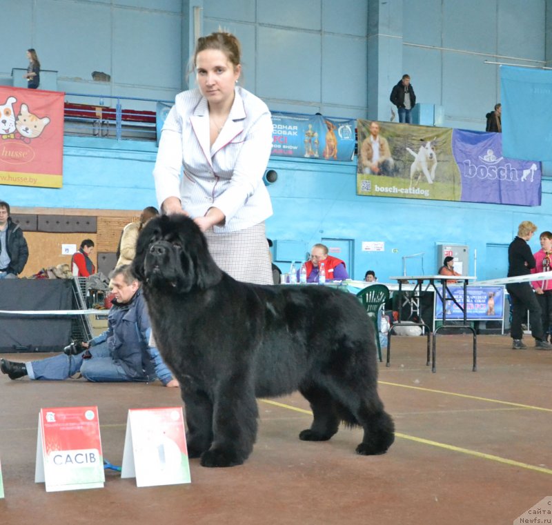 Фотография № 148033