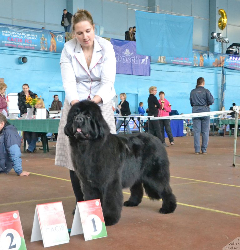 Фотография № 148035