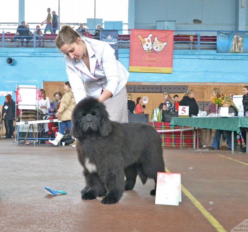 Фотография № 148041