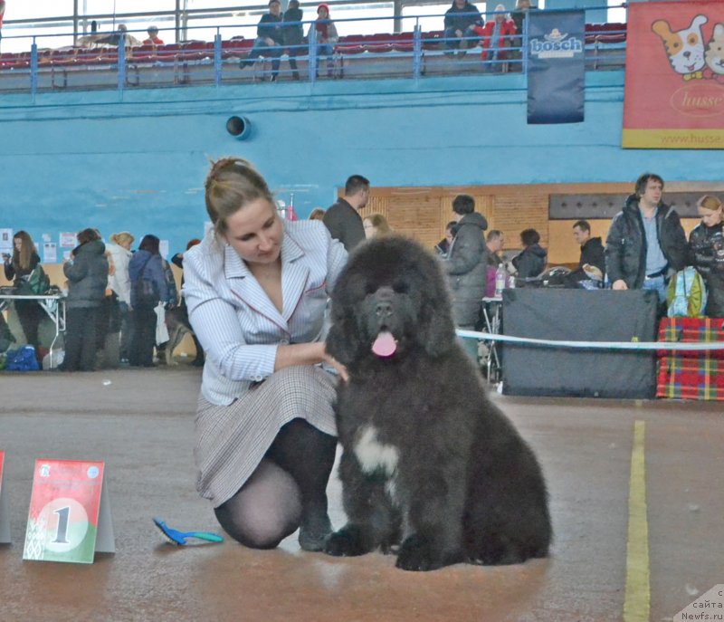 Фотография № 148047