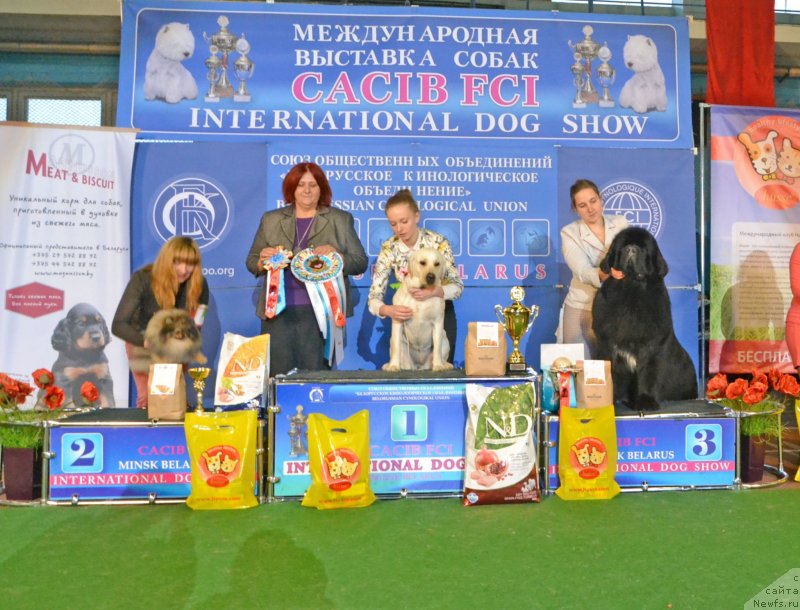 Фотография № 148055