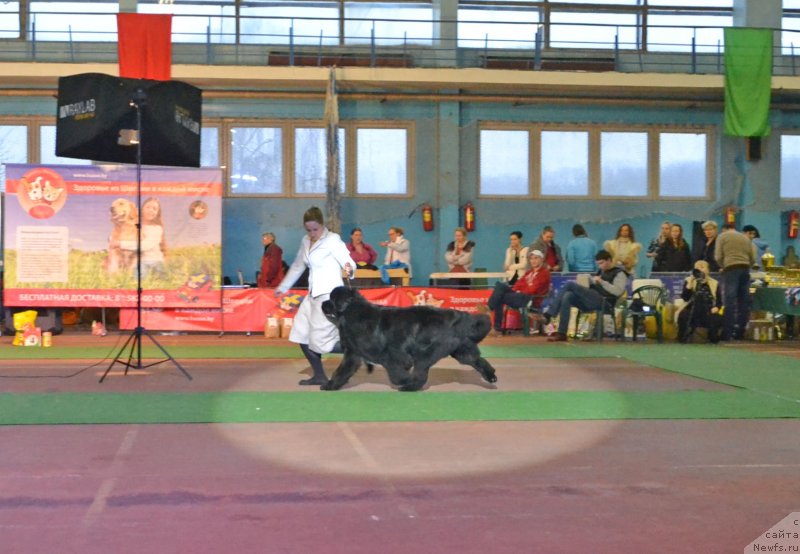 Фотография № 148059