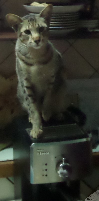 Фото: Sergey Jukov (Сергей Жуков)