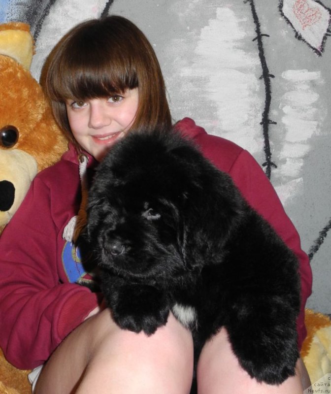 Фотография № 148122