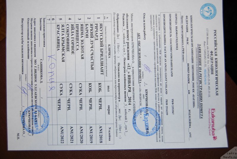 Фотография № 148137