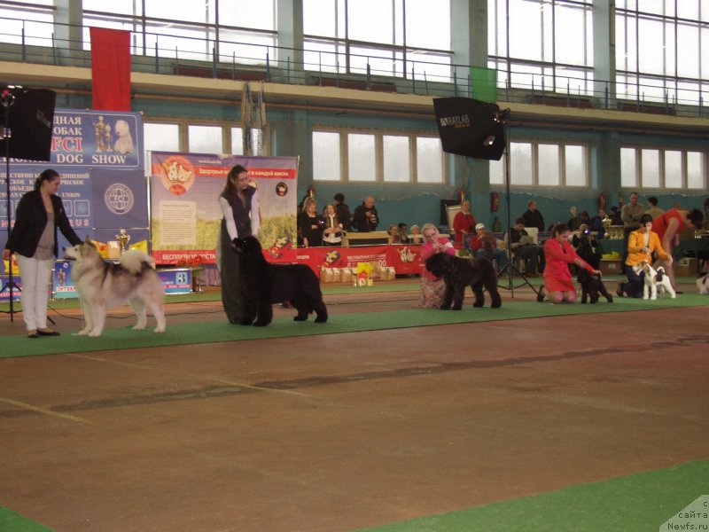 Фото: Rain Coast Isn't It Ironic