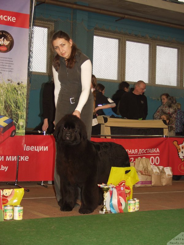 Фото: Rain Coast Isn't It Ironic