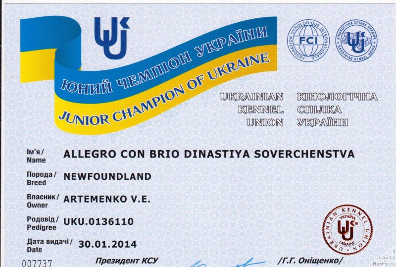 Фотография № 148161