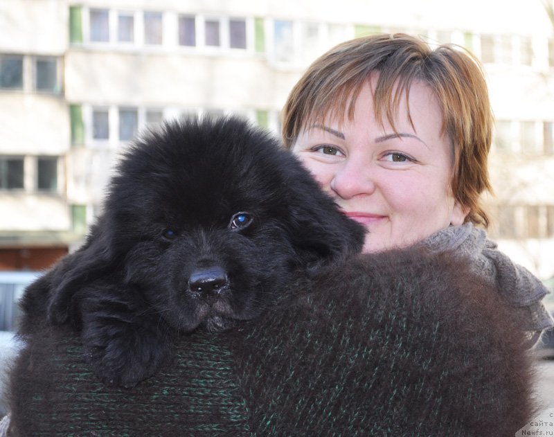 Фото: Tat'yana Abutova (Татьяна Абутова), Бегущая по волнам Фрозен Бьюти