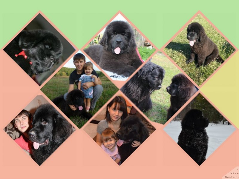 Фотография № 148197