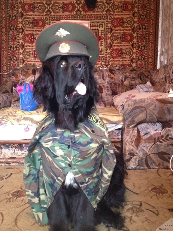 Фото: Ol'ga Frolenko (Ольга Фроленко)