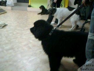 Фотография № 148206