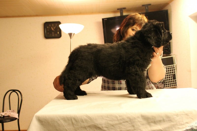 Фотография № 148235