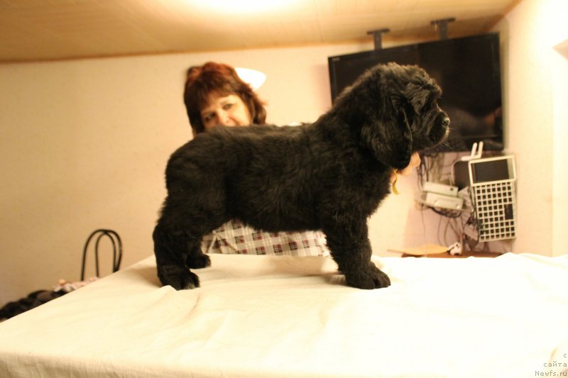 Фотография № 148237