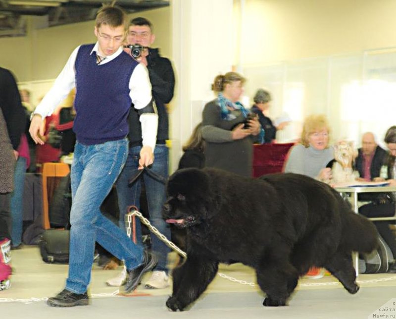 Фотография № 148255