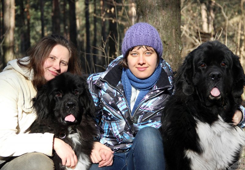 Фото: ньюфаундленд Starbimovlav Gardemarin (Старбимовлав Гардемарин), Кити, Alla Tuzkova (Алла Тузкова), Катерина