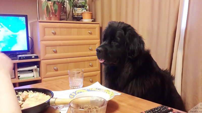 Фотография № 148311