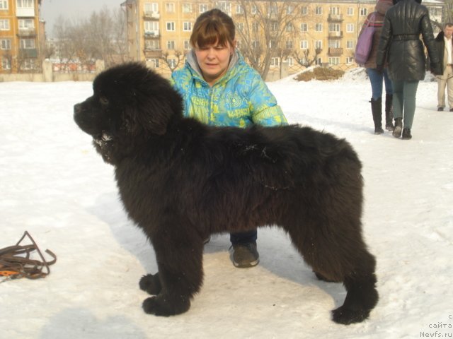 Фотография № 148327