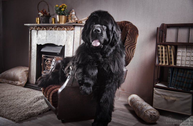 Фотография № 148385