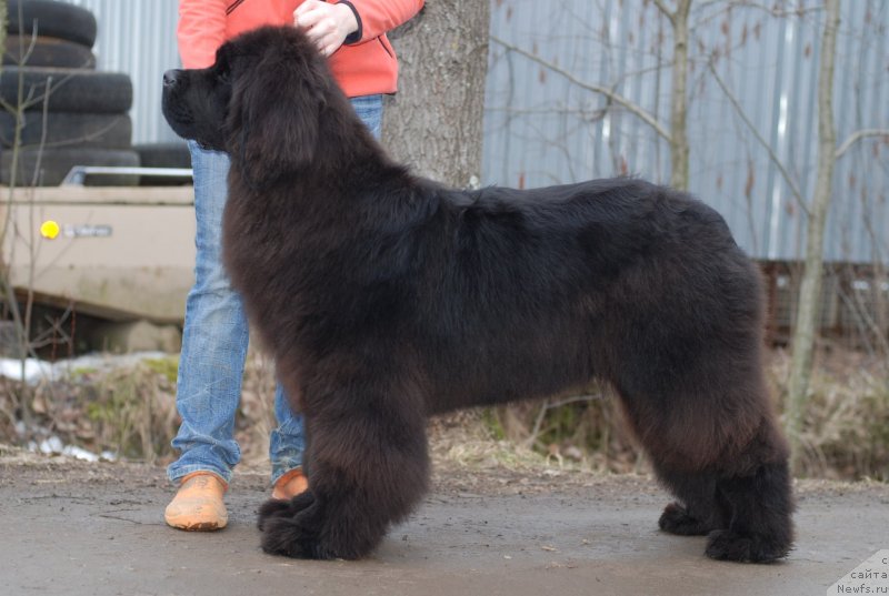 Фотография № 148394