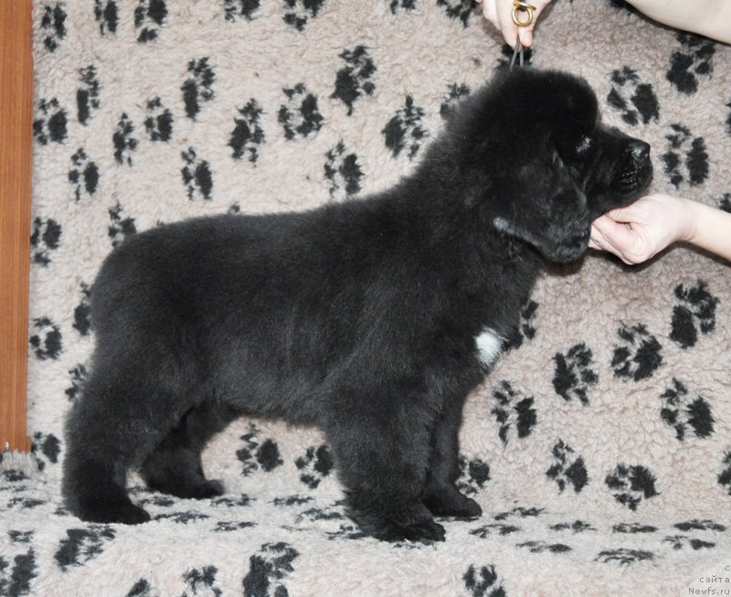 Фото: Бегущая по волнам Фрилансер