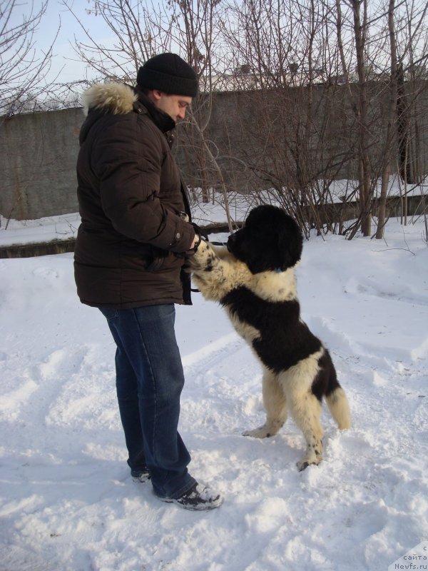 Фотография № 148416