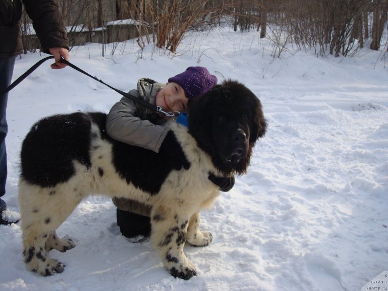 Фотография № 148417