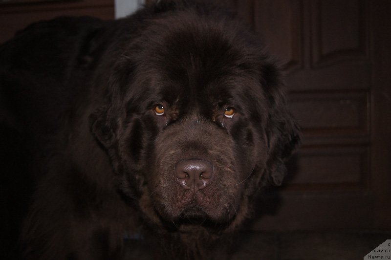 Фотография № 148431