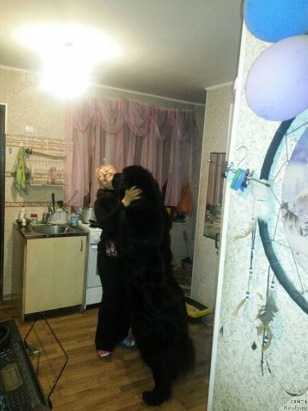 Фотография № 148453