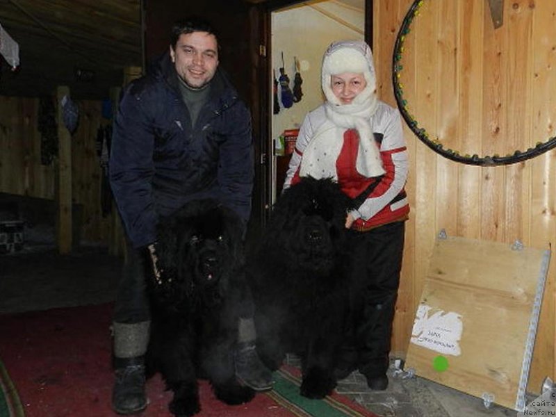 Фото: ньюфаундленд Able To Win Dinastiya Soverchenstva (Айбл Ту Вин Династия Совершенства), ньюфаундленд Akvatoriya Kelvin Uspeh (Акватория Келвин Успех), Elena Vidyakova (Елена Видякова)