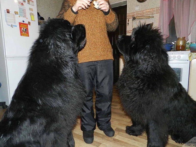 Фотография № 148457