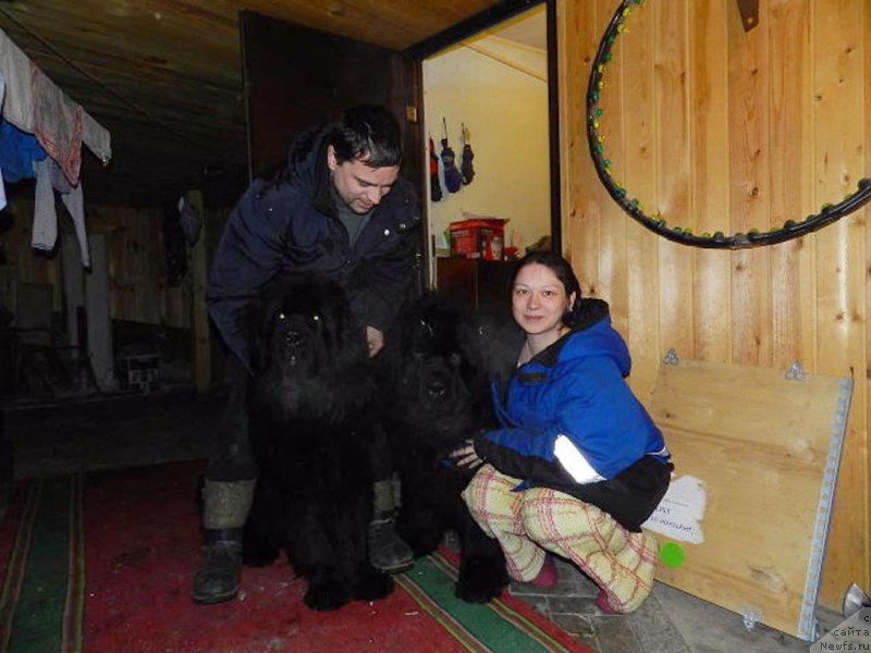 Фотография № 148458