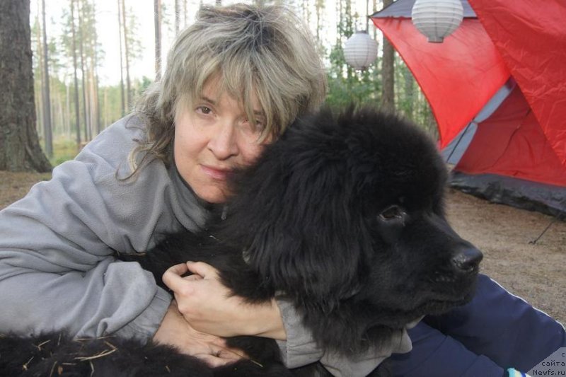 Фото: Diter Haycung (Дитер Хайцунг), ньюфаундленд Beguschaya po Volnam Fa-Dieze (Бегущая по Волнам Фа-Диезе)