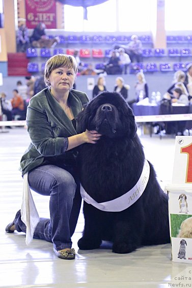 Фотография № 148484