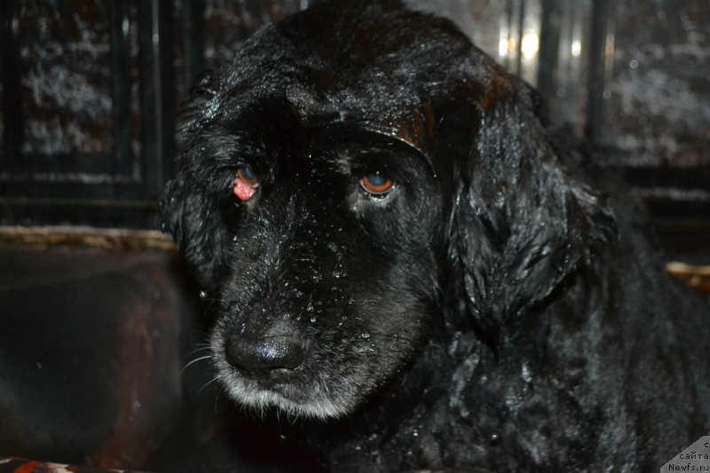 Фотография № 148492