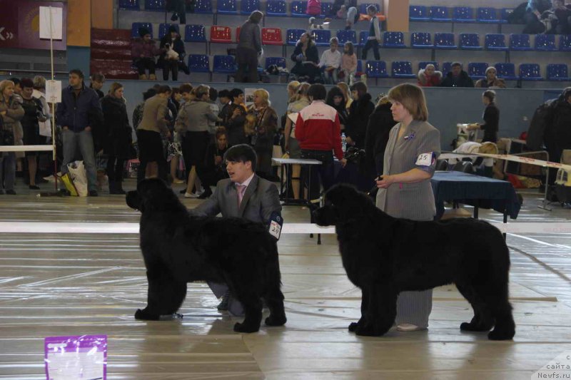 Фотография № 148498