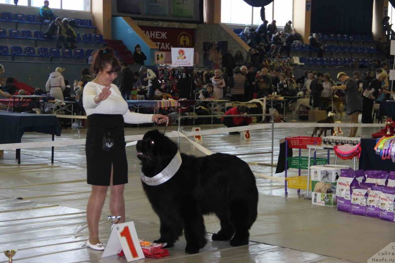 Фотография № 148500