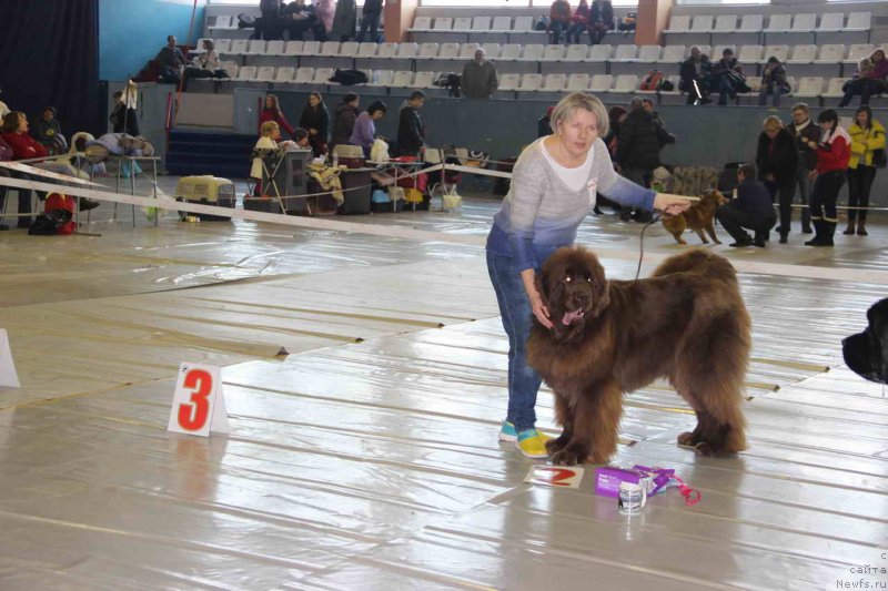 Фотография № 148505