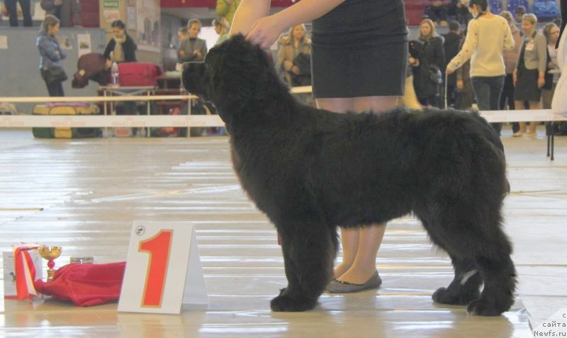 Фотография № 148507