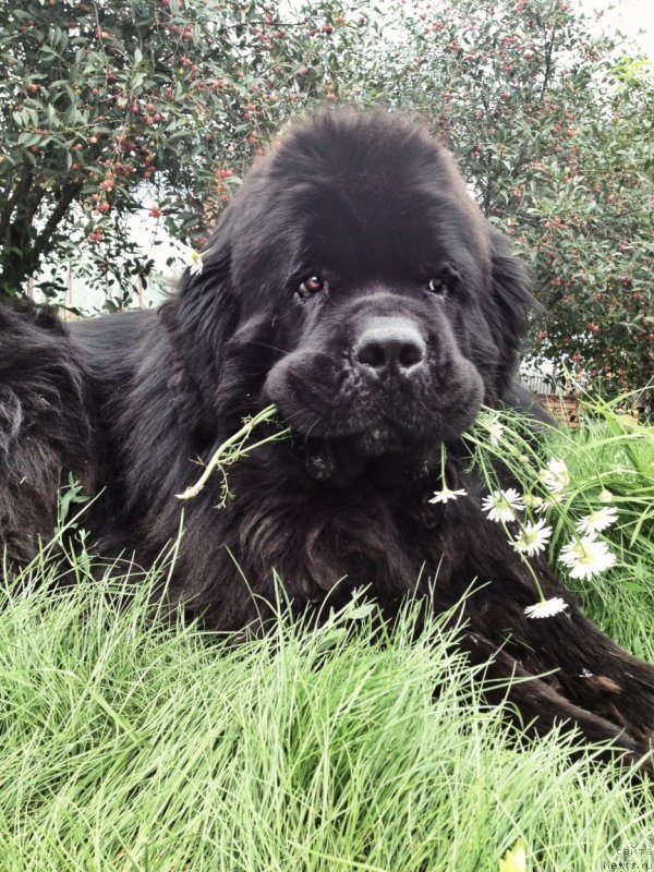 Фотография № 148540