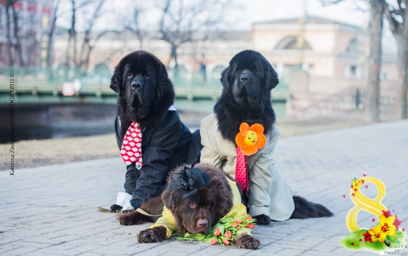 Фотография № 148547