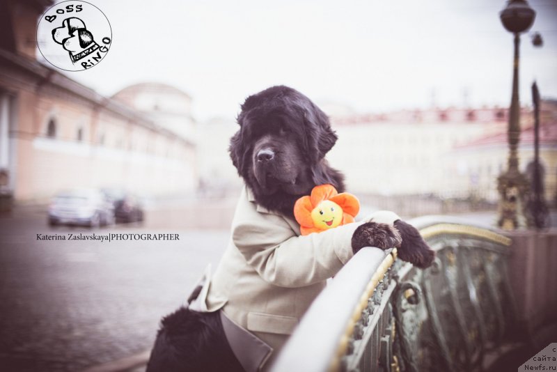 Фотография № 148548