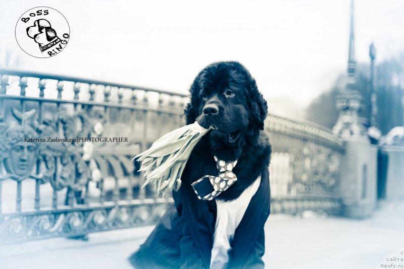 Фотография № 148549