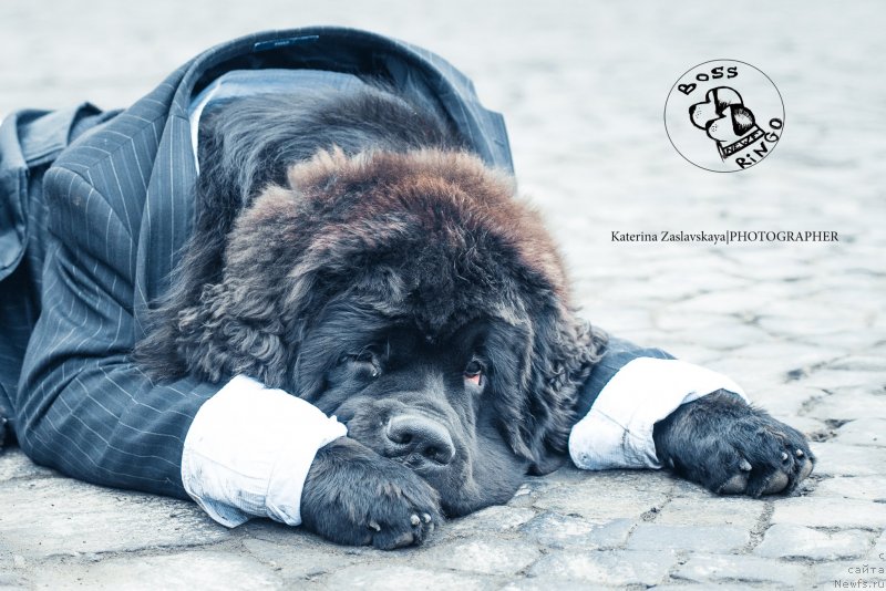 Фотография № 148556