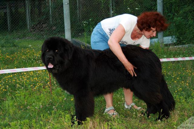 Фотография № 14857