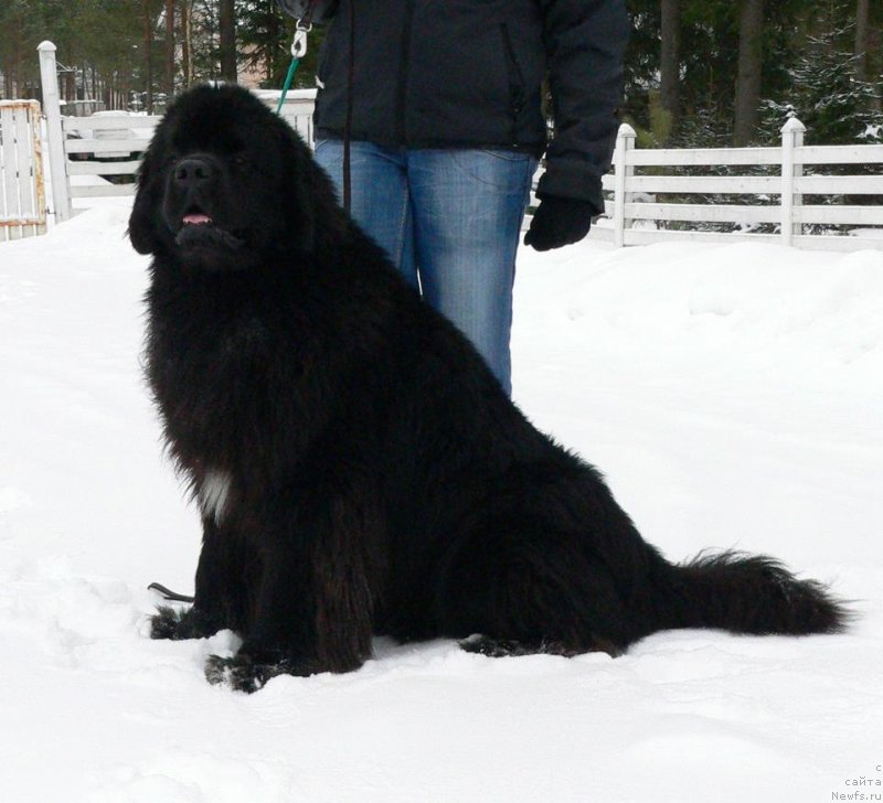 Фото: Svetlana Zyiryanova (Светлана Зырянова)